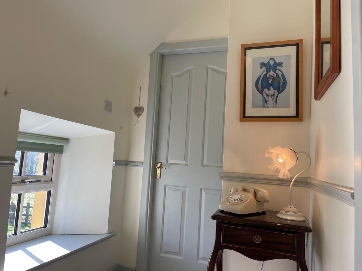 Mai'S Cottage Suite - Charming Holiday Rental Kilmallock Εξωτερικό φωτογραφία